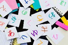 Personalized Japanese Tutoring