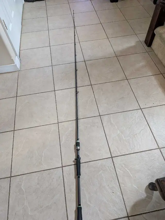 iRod Swimbait Fishing Rod
