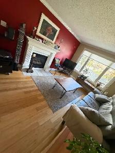 Orillia cleaners needed $25/hr