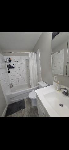 Private Room at 641 Stafford St - Photo 3
