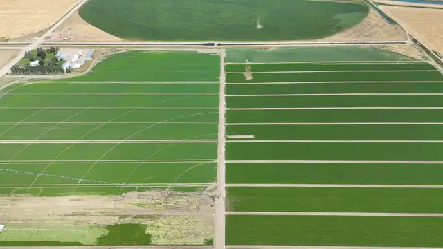 Professional Agricultural Farm Worker