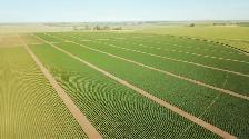 Professional Agricultural Farm Worker - Photo 3