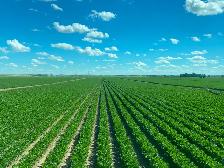 Professional Agricultural Farm Worker - Photo 4
