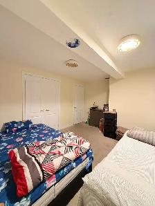 Large Basement Room for Rent — Torbram & Bovaird, Brampton - Photo 2