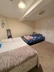 Large Basement Room for Rent — Torbram & Bovaird, Brampton - Photo 3