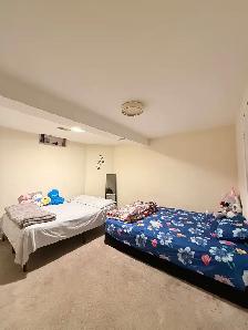 Large Basement Room for Rent — Torbram & Bovaird, Brampton - Photo 4