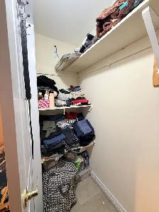 Large Basement Room for Rent — Torbram & Bovaird, Brampton - Photo 10