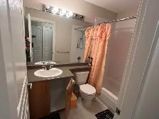(Richmond) $925 All-Inclusive! Sunny Furnished Bedroom - Photo 3