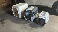 Pet Kennels - Photo 4