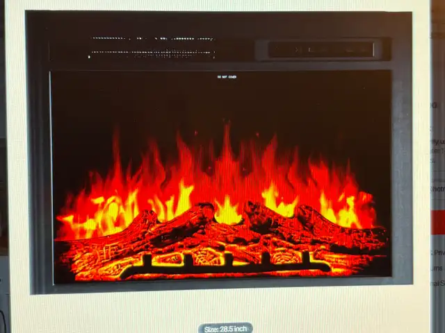 Fireplace Insert