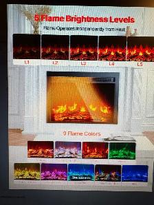 Fireplace Insert - Photo 2