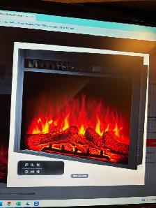 Fireplace Insert - Photo 4