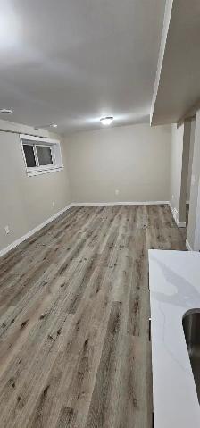 Bright 2-Bedroom Basement Suite, Separate Entrance - Photo 12