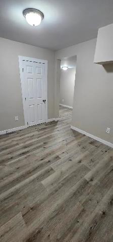 Bright 2-Bedroom Basement Suite, Separate Entrance - Photo 14