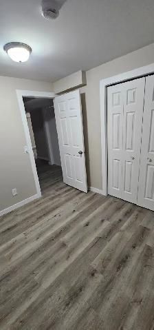 Bright 2-Bedroom Basement Suite, Separate Entrance - Photo 16