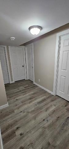 Bright 2-Bedroom Basement Suite, Separate Entrance - Photo 18