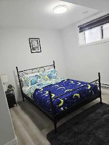 New 2 bedroom furnished basement suite in Rosewood for rent - Photo 4