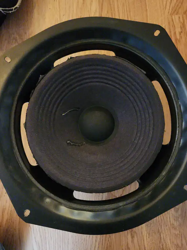 D.B Speakers Calgary