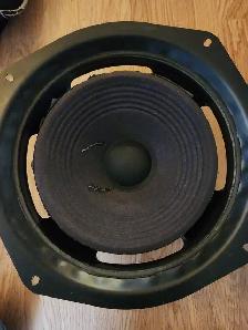 D.B Speakers Calgary