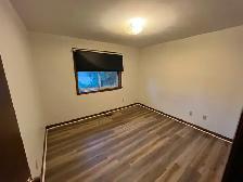 3 bedroom 2 washroom house for rent - Photo 11