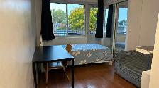 Downtown Near McGill All Included Furnitured Studio for Rent !!