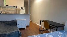 Downtown Near McGill All Included Furnitured Studio for Rent !! - Photo 3