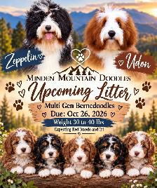 Upcoming Fall Litters