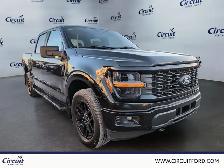 2024 Ford F-150 STX, ensemble décor noir 2024 à vendre - Photo 3