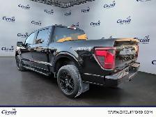 2024 Ford F-150 STX, ensemble décor noir 2024 à vendre - Photo 5