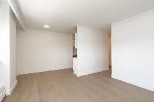 Bachelor suite, Jameson and Queen - ID 1239 - Photo 4
