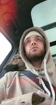 Canadian male looking for work - Photo 2