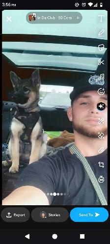 Canadian male looking for work - Photo 3