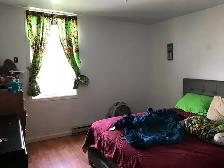 5 1/2 Stanstead,COMME MAISON 3 Bed-Room CHIEN ACCEPTE - Photo 5