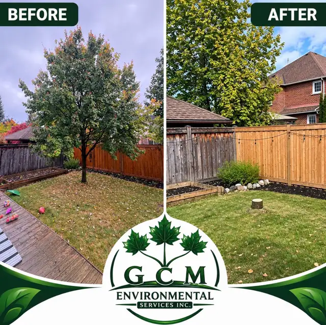 Tree and Stump - removal service