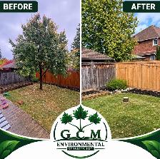 Tree and Stump - removal service