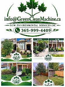 Tree and Stump - removal service - Photo 2