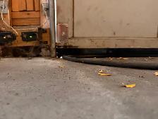 ⭐️GARAGE DOOR WEATHERSTRIPPING⭐️ - Photo 8