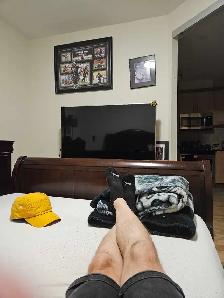 looking to rent a room