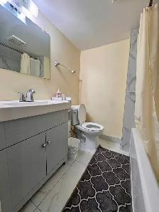 Newly renovated 2 bedroom walkout basement for rent - Photo 3