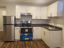 2 Bedroom basement for Rent in Waterford Green