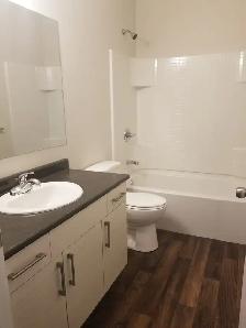 2 Bedroom basement for Rent in Waterford Green - Photo 5