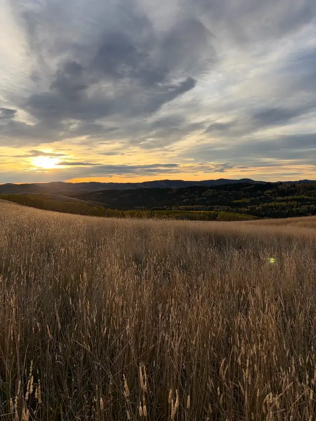 Looking to Purchase Grazing Lease/ Allotment