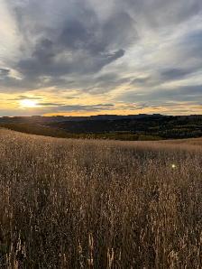 Looking to Purchase Grazing Lease/ Allotment