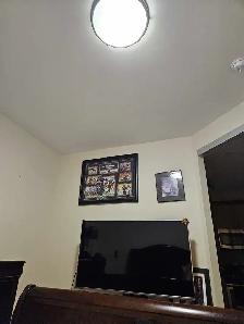 Wanted- room for rent