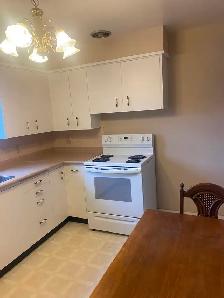 Vickers Park area- Mainfloor unit available November 1 - Photo 2