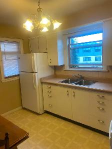 Vickers Park area- Mainfloor unit available November 1 - Photo 3