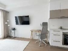 Luxury Fully Furnished Condo for Rent –  3 1/2 DT montreal - Photo 4