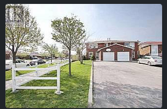 Bright & Spacious 1-Bedroom Basement Apartment