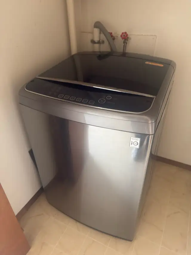 LG top loaded dryer