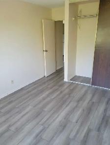 1 Bdrm Apartment - 1 Month Free w/1 Year Lease - Photo 4